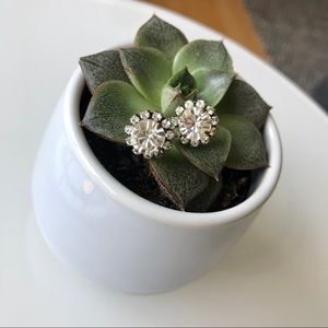 Statement Crystal Ear Stud Earrings